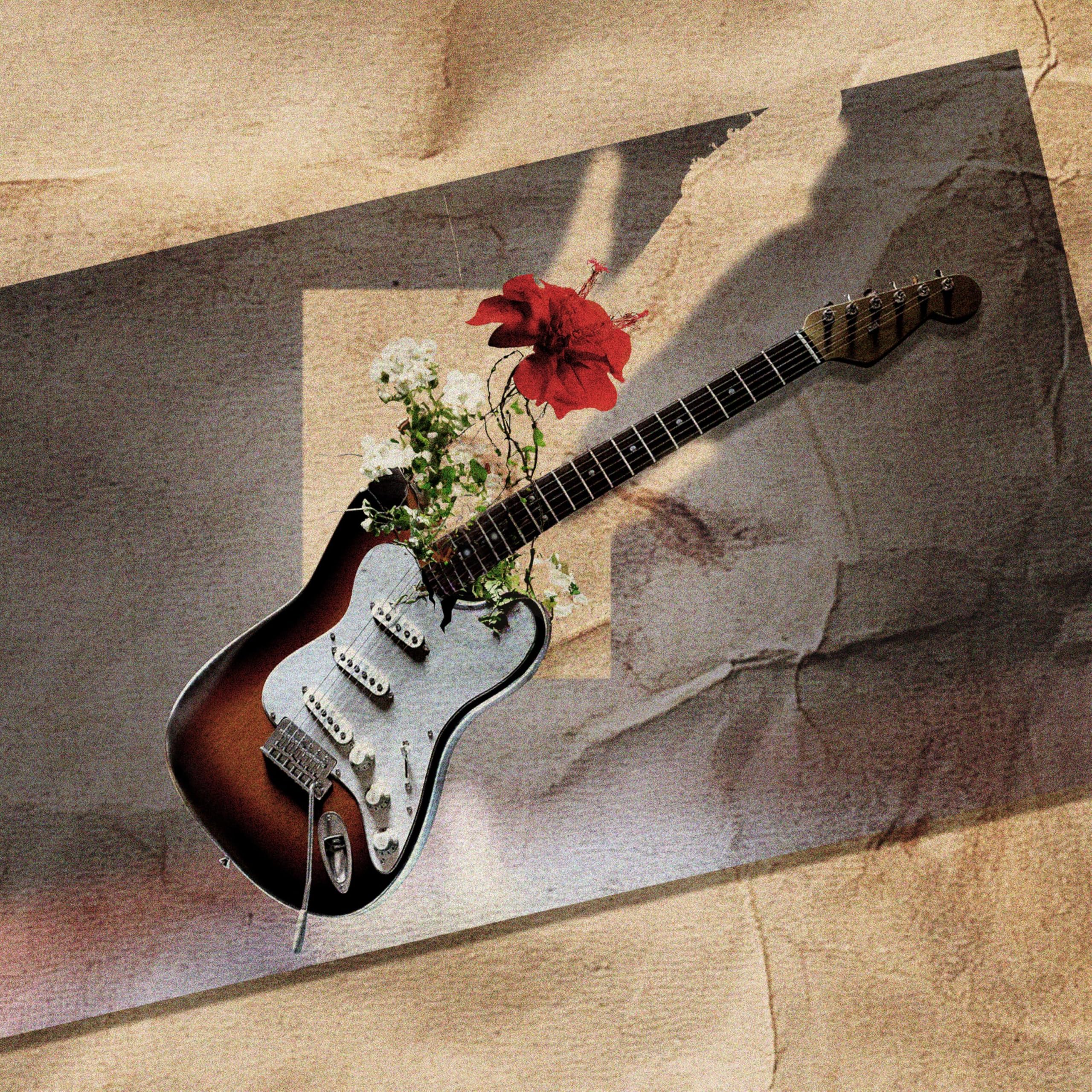 Image Cover